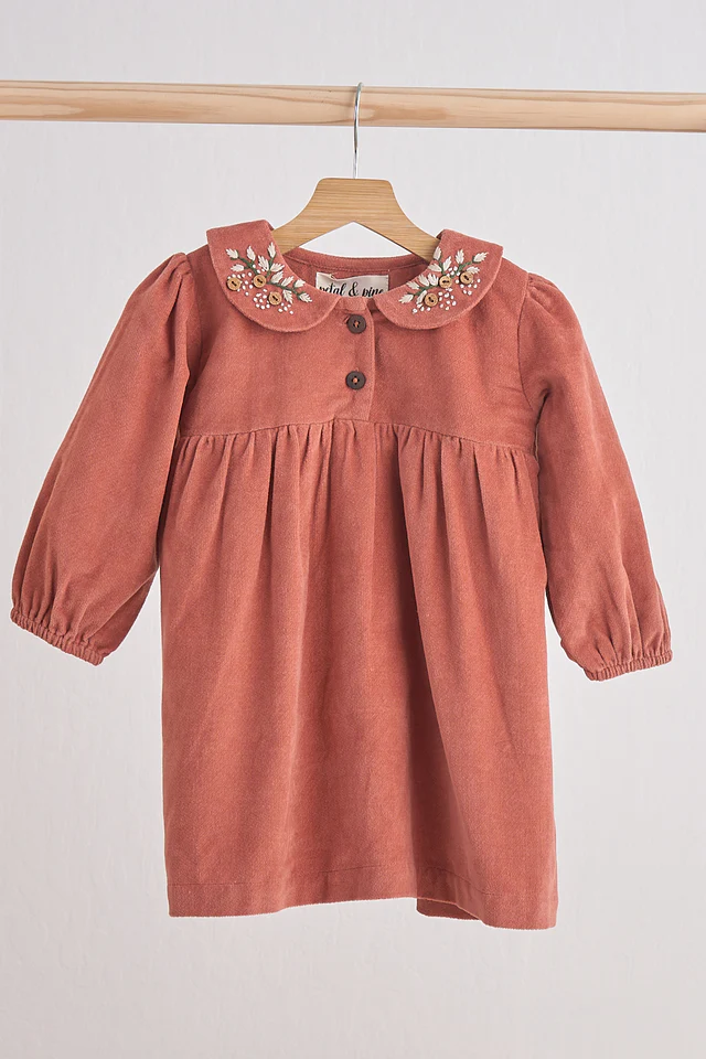 Floral Embroidered Velveteen Dress